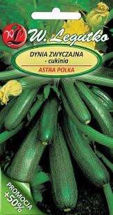 cukinia-cucurbita-pepo-astra-polka-zielonapara-sadzonka-duza-zdrowa-zolte-owoce