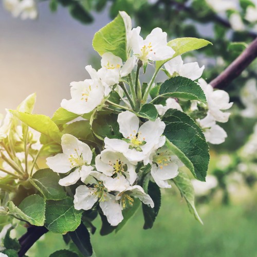 7b164b40b30c487a2ef9d1bcf69147fc