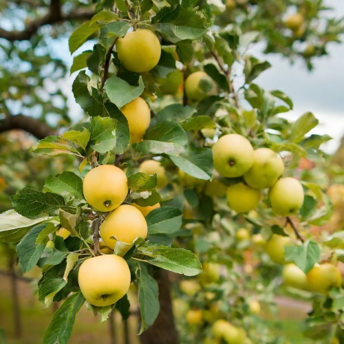 381d57de4d69677ed2f4f382c0d2ae94