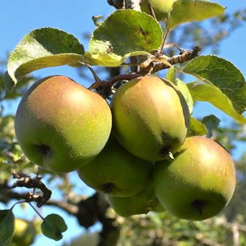 1899e060fcba21e3f9865d3946553298