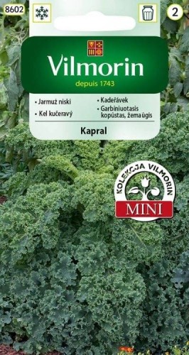 Jarmuż Kapral 2g