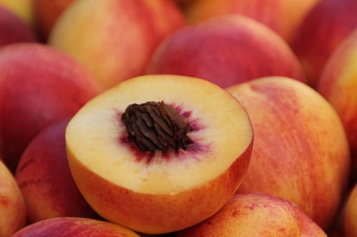 nektaryna-prunus-persica-var-nucipersica-fantazja-kopana-z-gruntu-zielonapara-sadzonka-duza-zdrowa-slodkie-owoce