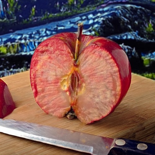 Jabłoń Czerwonomiąższowa 100cm, roślina z gołym korzeniem 