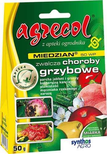 a0af7b6e92ddfacd8d7d39d902c5c485