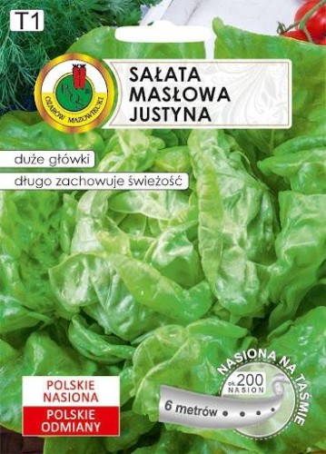 Sałata masłowa Justyna 1g
