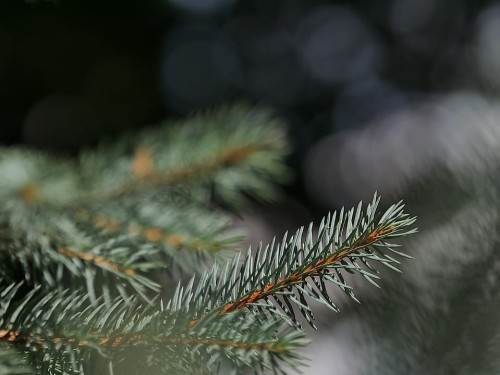 13b42c3df635c30d4517d1589d401ca8.jpg