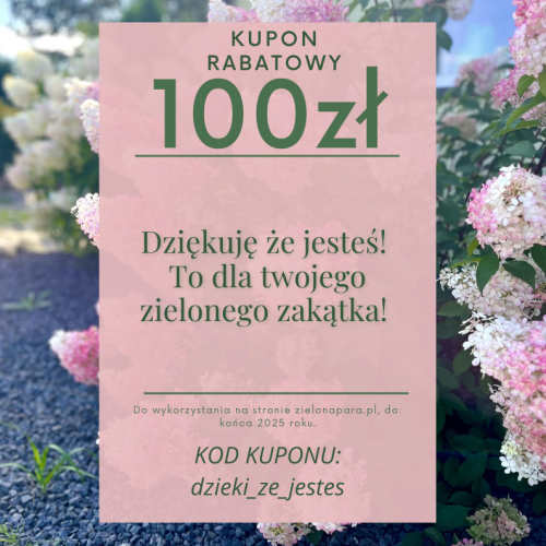 91312bf10a6aa61823ae77e1b8318a75.png