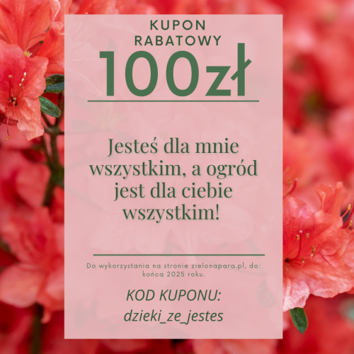 5596b5ae030887329bb28c9395a4477c.png