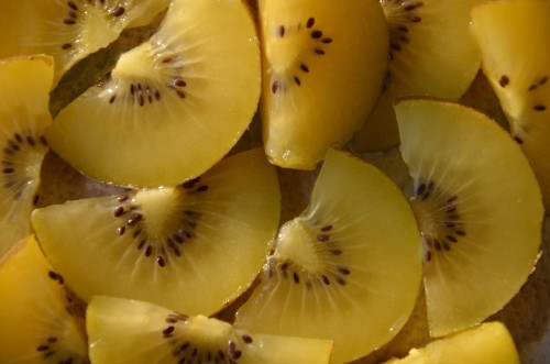 Aktinidia pstrolistna Sentyabraskaya