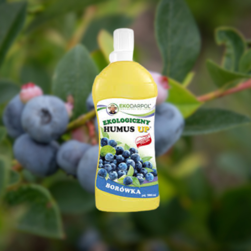 HUMUS UP PLUS Borówka 1L
