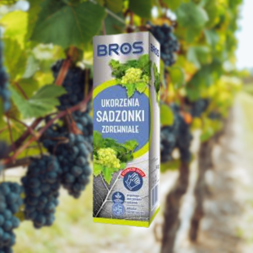 bros-ukorzeniacz-do-sadzonek-zdrewnialych-50g-zielonapara-wspomaga-ukorzenianie