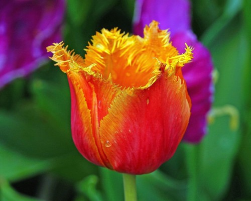 6c2d1de5-33f9-4bfd-8af7-0b8bef056f43.jpg