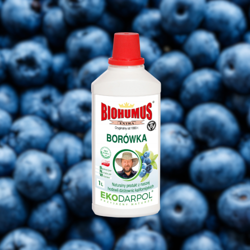 biohumus-extra-borowka-1l-zielonapara-nawoz-plynny-naturalny-do-borowki