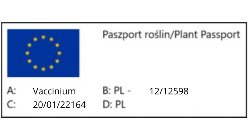 borowka.png