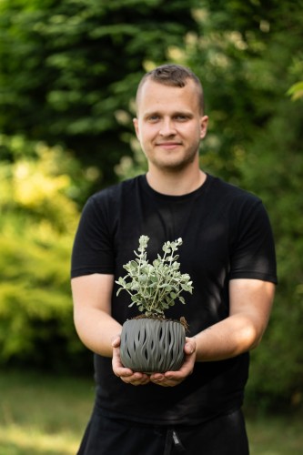 ballota-ballota-pseudodictamnus-compact-form-zielonapara-sadzonka-duza-zdrowa-srebrzyste-liscie