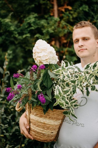 zielonapara-zielona-para-wiktor-sadzonka-hortensja-deren-budleja-krzewy lisciaste-kwitnace-wieloletnie.jpg