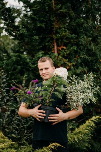 zielonapara-zielona-para-wiktor-sadzonki-krzewowo-wieloletnich-lisciastych-hortensja .jpg