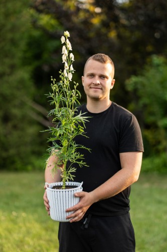Firefly stwórz zdjęcie identycznej rosliny._Zdjęcie ma być ultra relistyczne i zadbaj o najmniejsze  (27).jpg