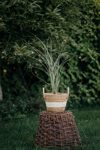 miskant-chinski-huron-sunrise-p9-miscanthus-sinensis-wczesne-kwiatostany-czerwone-akcenty-trawa-ozdobna-sadzonka-sadzonki-zielona-para-zielonapara