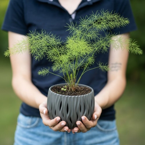 15f459f2c95429fbce31e04462a15224.jpg