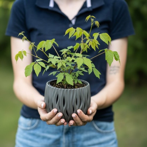freepik__candid-photography-with-natural-textures-and-highl__2266.png
