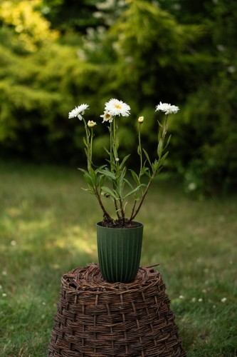 9e9d42c1e818231ba866304439239297.jpg