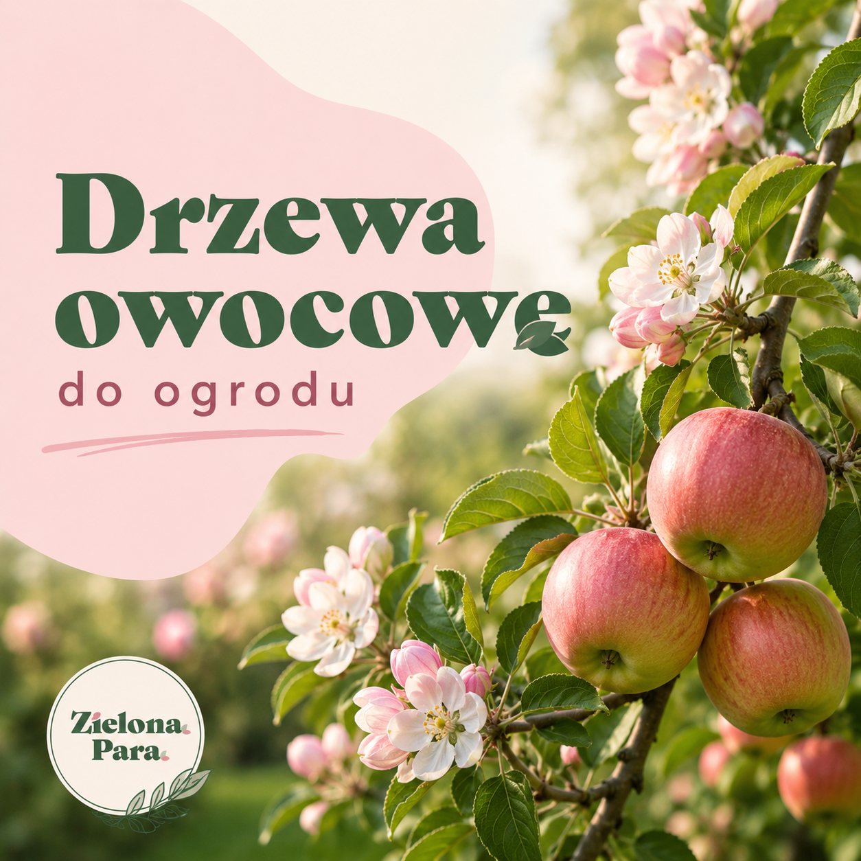 Drzewa owocowe w nowoczesnym ogrodzie - kompozycje i inspiracje
