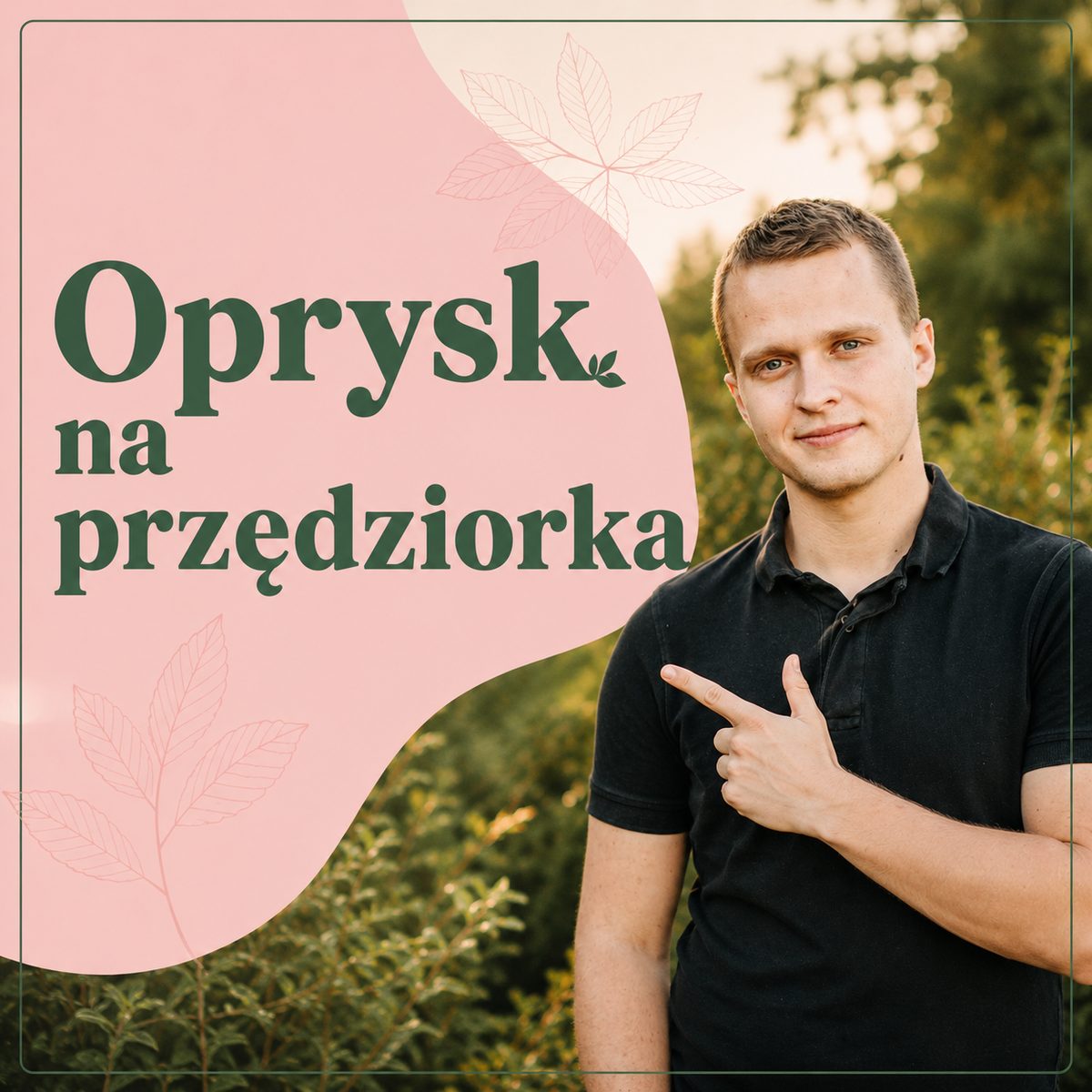 Oprysk na przędziorka – skuteczne zwalczanie przędziorków w ogrodzie