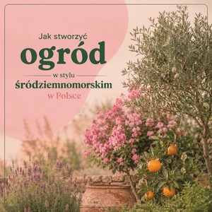 Jak stworzyć ogród w stylu śródziemnomorskim w Polsce