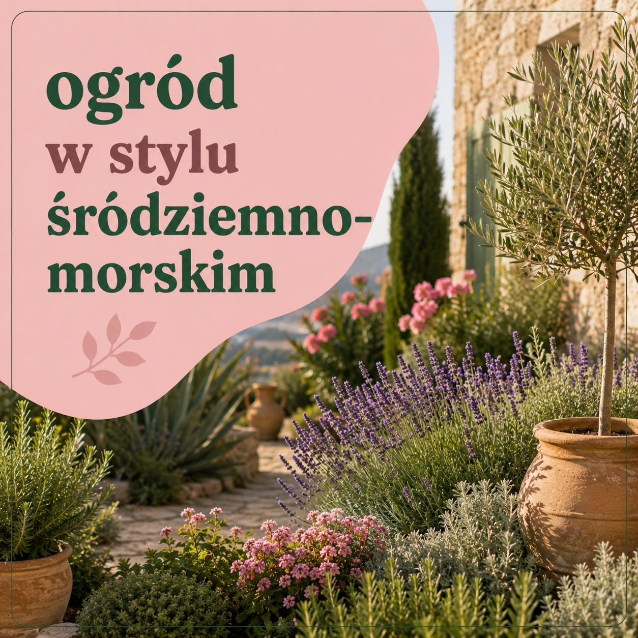 Jak stworzyć ogród w stylu śródziemnomorskim w Polsce