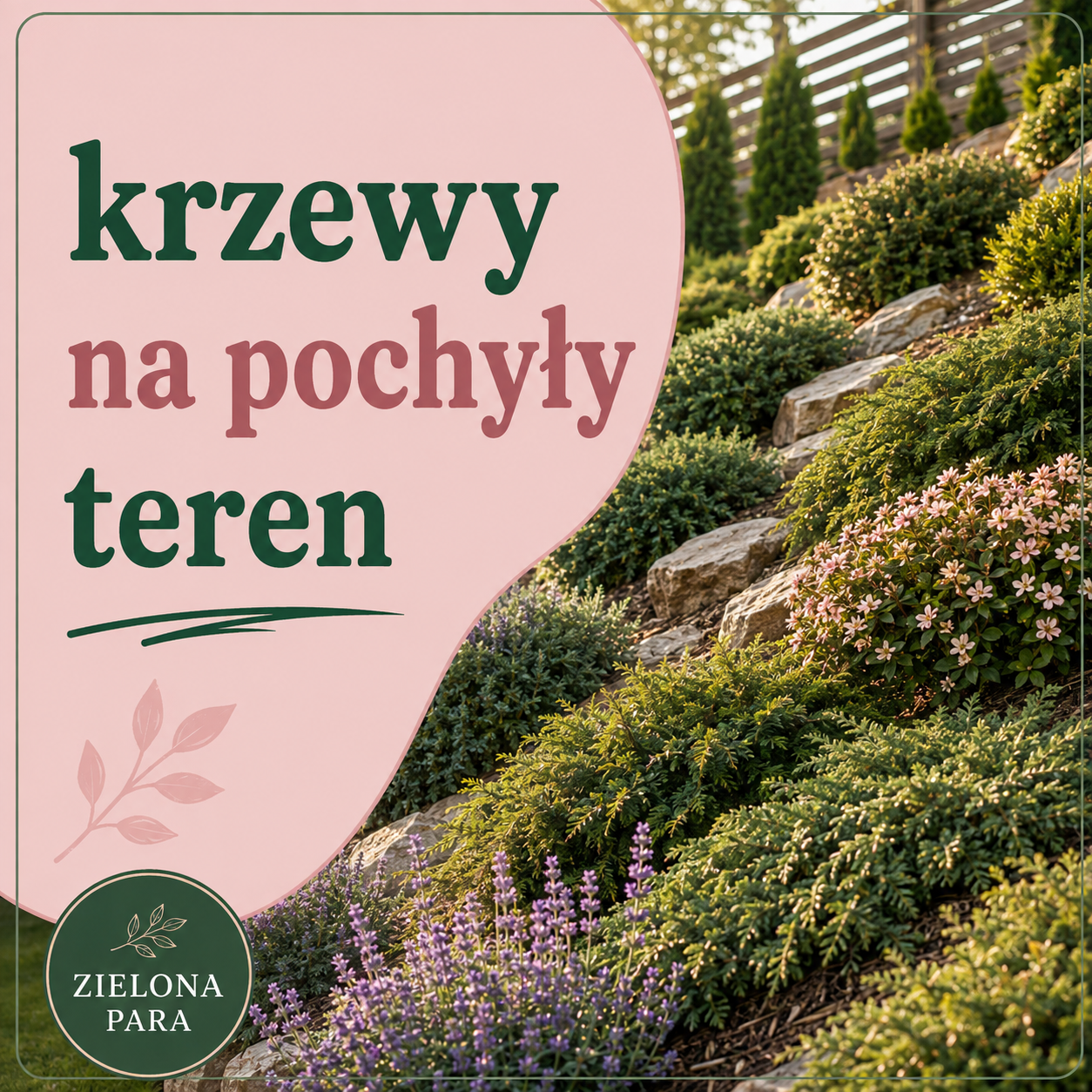 Krzewy na skarpy – jak obsadzić pochyły teren, żeby się nie osuwał i dobrze wyglądał