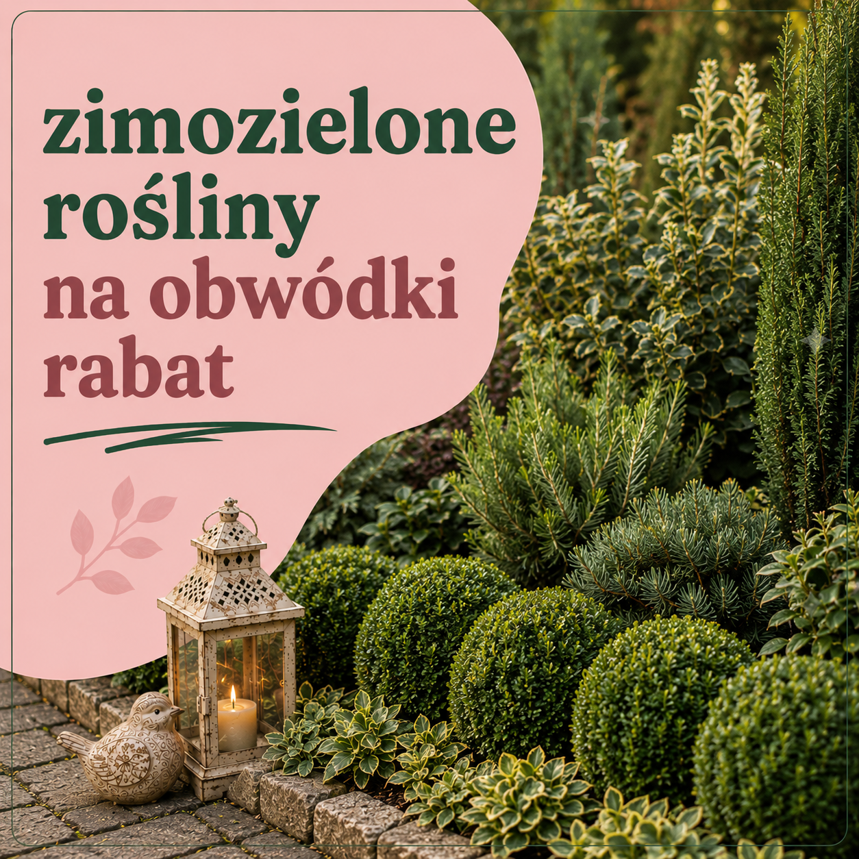 Zimozielone rośliny na obwódki rabat – praktyczny przewodnik dla każdego ogrodu