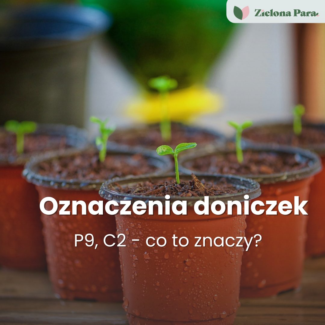 Oznaczenia doniczek: Po co w ogóle te symbole?