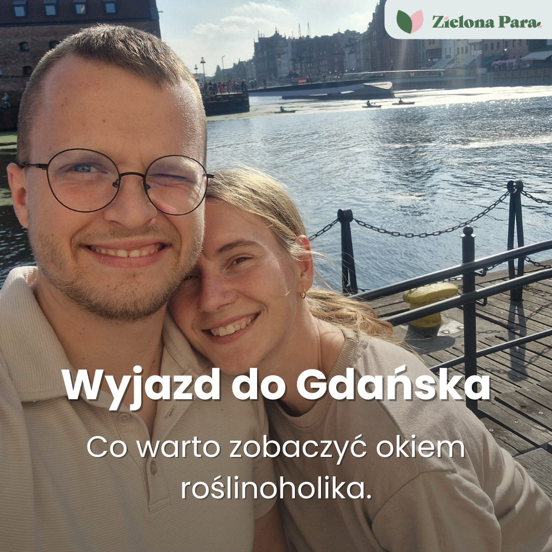 Gdańsk roślinność: Przewodnik po najpiękniejszych gatunkach roślinnych