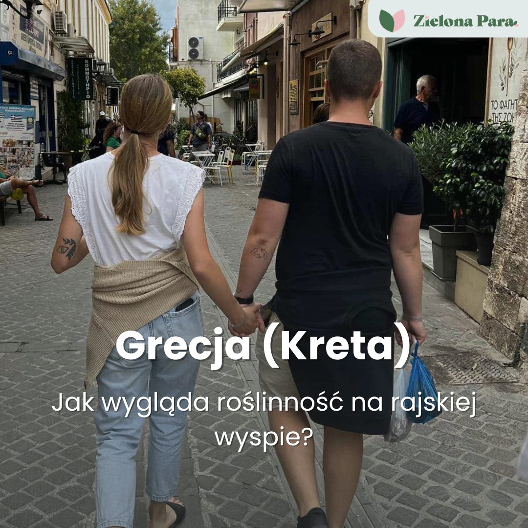 Grecja (Kreta) - Zielona Para na wyjeździe #4