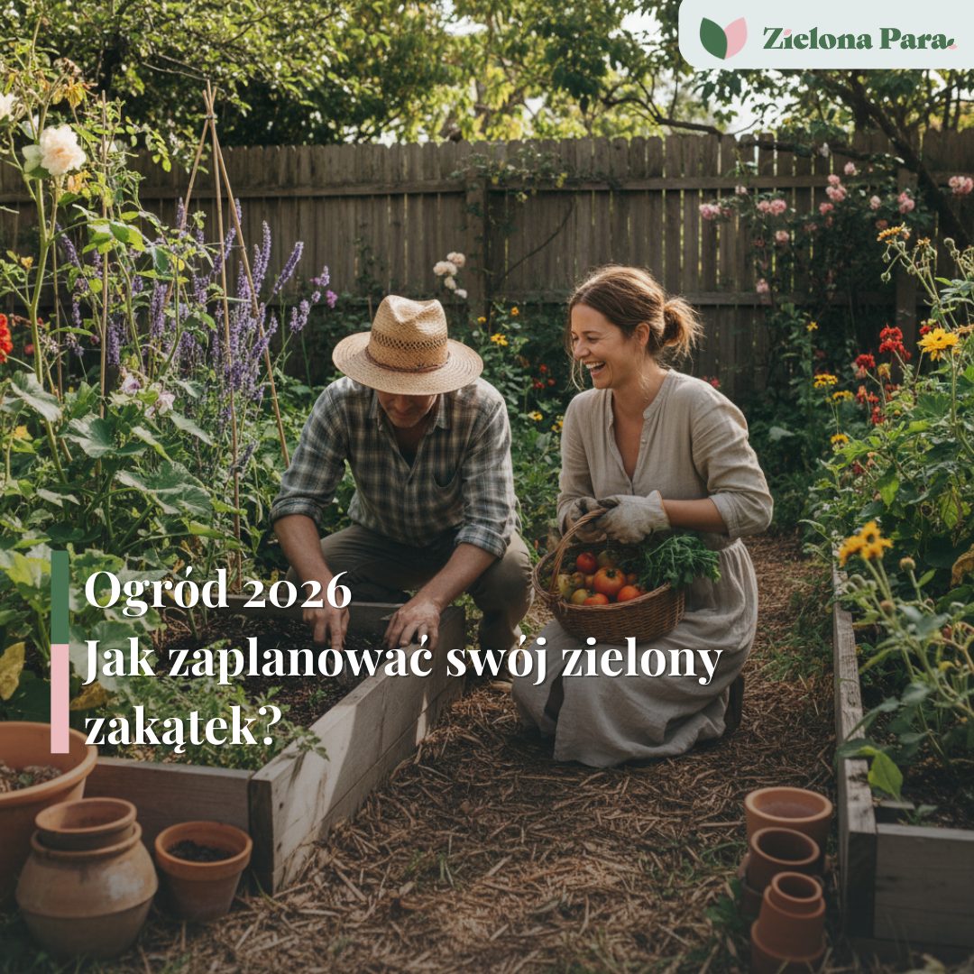 Jak zaplanować prace w ogrodzie