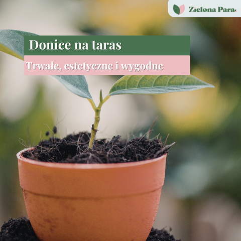 Donice na taras – jak wybrać trwałe, estetyczne i naprawdę wygodne rozwiązanie
