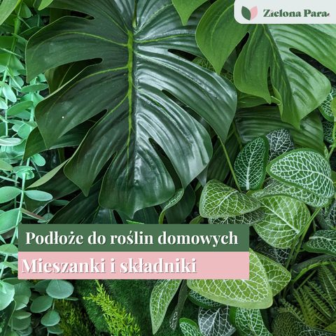 Podłoże do roślin w doniczkach